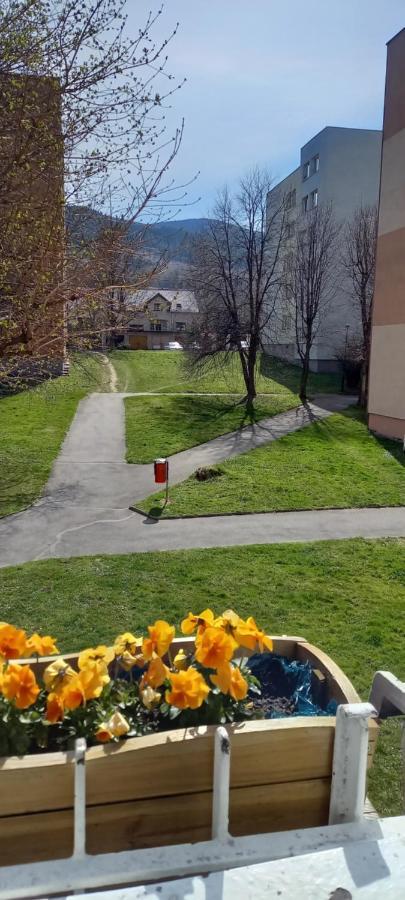 Na Lesnej Kowary Exterior foto